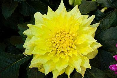 《古惑狼三部曲》再破销量里程碑 制作团队发文庆祝